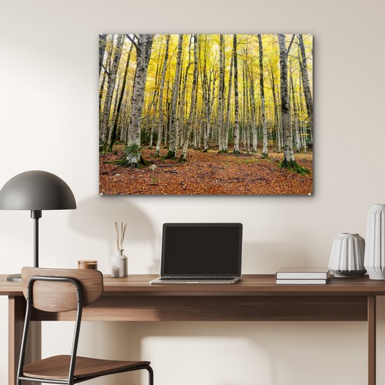 Feuilles jaunes dans la forêt en automne Glas 90x60 cm - Tirage photo sur Glas (Décoration murale en plexiglas)