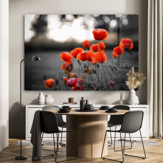 Coquelicots rouges sauvages dans un grand champ avec un fond noir et blanc Plexiglas 180x120 cm - Tirage photo sur Glas (décoration murale plexiglas) XXL / Groot format!