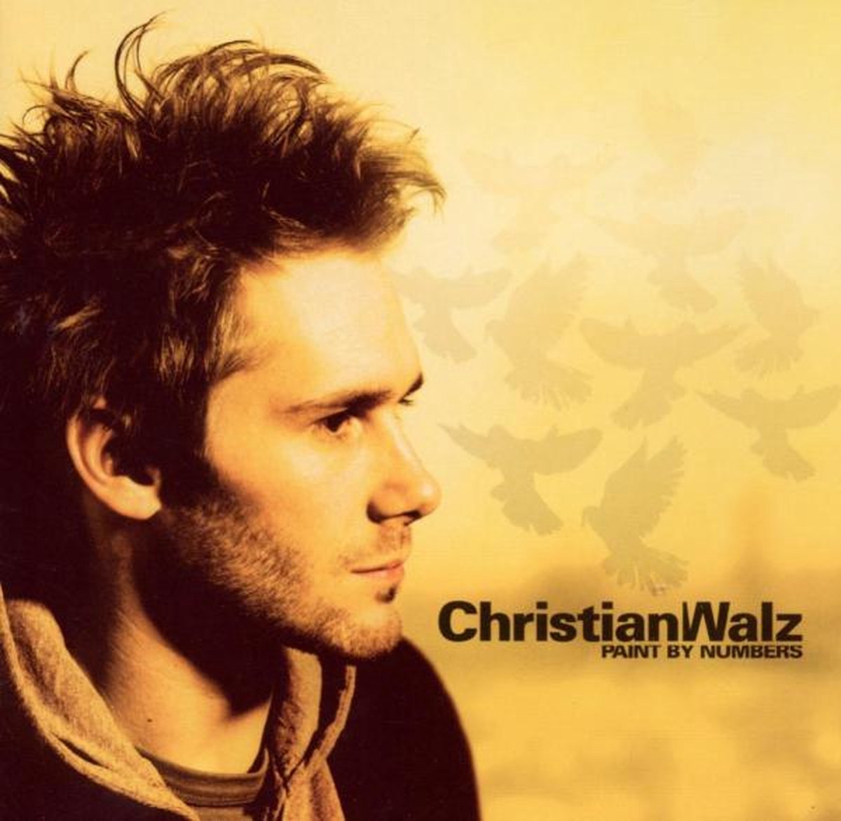 Paint By Numbers - Walz Christian
