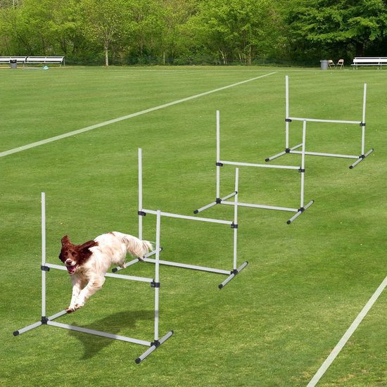 AOUKAR Agility Set honden hordenset uitrusting voor hondentraining met
