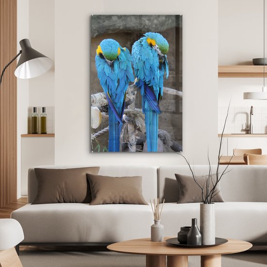 Deux aras en Glas 80x120 cm - Tirage photo sur Glas (décoration murale en plexiglas)