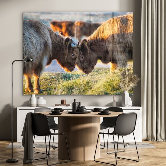 MuchoWow® Peinture sur verre 160x120 cm - Peinture sur verre acrylique - Highlanders écossais - Animaux - Soleil - Photo sur verre - Peintures