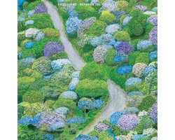 Fiddlehead - Between the Richness (LP) (Coloured Vinyl)