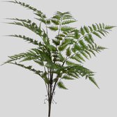 Flora Arte - Kunsttak - Varen Palm - Topkwaliteit - Zijden tak - Groen - 75 cm hoog