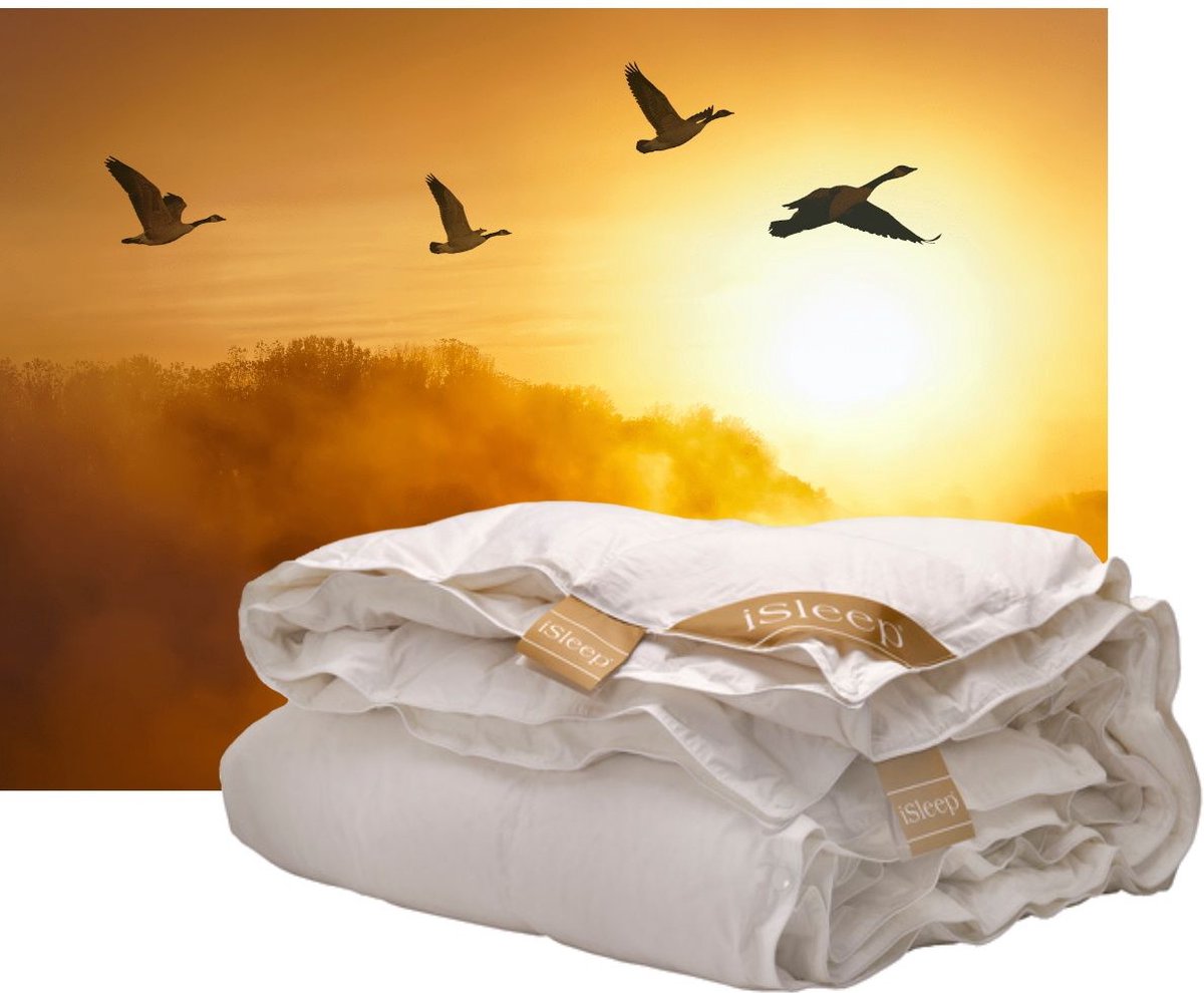 iSleep Gold Donzen 4-seizoenen dekbed - 100% Ganzendons - Litsjumeaux - 240x200 cm