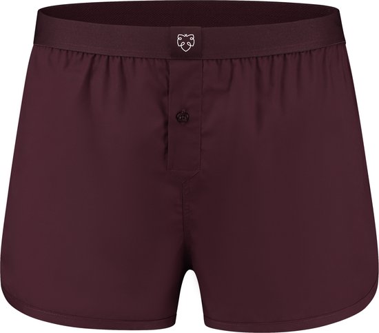 Schesser 2PACK Boxershorts Heren Onderbroek - blauw 180202 - Vergeljk