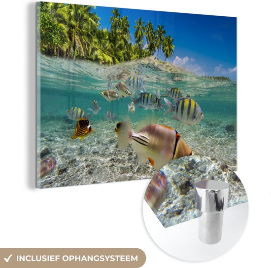 MuchoWow® Glasschilderij - Strand - Vissen - Tropisch - Acrylglas Schilderijen - Foto op Glas