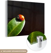 MuchoWow® Glasschilderij 80x60 cm - Schilderij acrylglas - Lieveheersbeest blad zwarte achtergrond - Foto op glas - Schilderijen