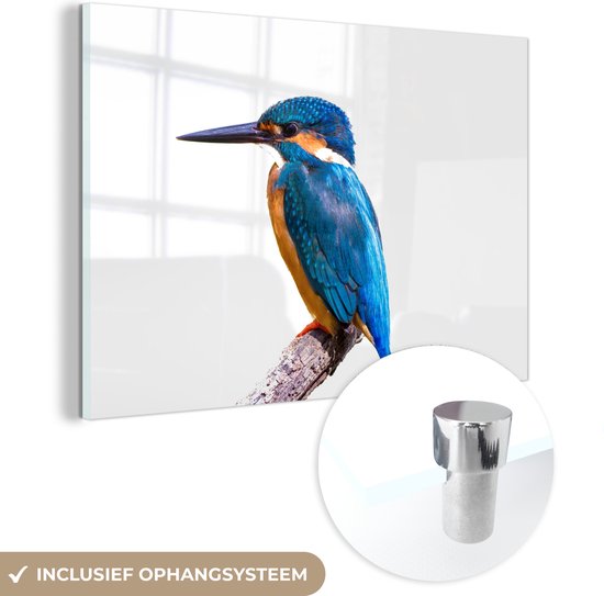 MuchoWow® Peinture sur Verre - Martin-pêcheur - Ressorts - Branche - Blauw - 150x100 cm - Peintures sur Verre Acrylique - Photo sur Glas