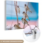 MuchoWow® Glasschilderij 150x100 cm - Schilderij acrylglas - Vogels - Mus - Dieren - Takken - Foto op glas - Schilderijen