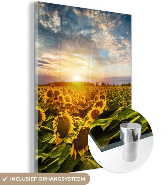 MuchoWow® Glasschilderij 120x160 cm - Schilderij acrylglas - Bloemen - Zonnebloem - Lucht - Foto op glas - Schilderijen