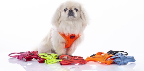 Tailpetz - Harnais Air- Mesh - Harnais pour chien - Harnais pour chien - Harnais pour petit chien - Harnais pour chien en Y - Harnais pour chien - Harnais anti- Trek pour chien - Réfléchissant - Taille L - Pink