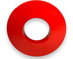 Padisport Micro Plate 1 Kg - Halterschijven - Halterschijven 50mm - Gewicht Platen - Weight Plates - Dumbell Schijven - 50mm Halterschijf