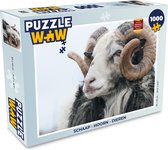Puzzel Schaap - Hoorn - Dieren - Legpuzzel - Puzzel 1000 stukjes volwassenen