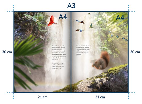 Leo de Leeuwenboom heeft overal jeuk! – Prentenboek cadeau 4 jaar / 5 jaar / 6 jaar / 7 jaar / 8 jaar / 9 jaar / 10 jaar / jongen / meisje – Kinderboek over dieren, natuur en vriendschap met winterthema (cadeau tip)