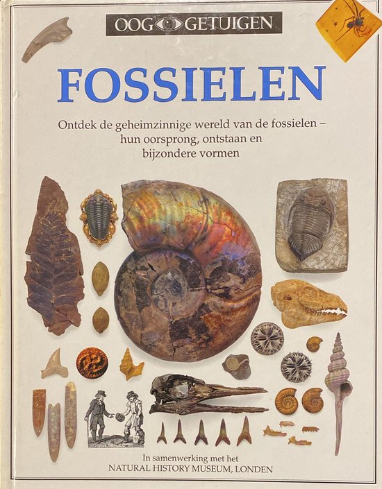9789026911903 - Fossielen