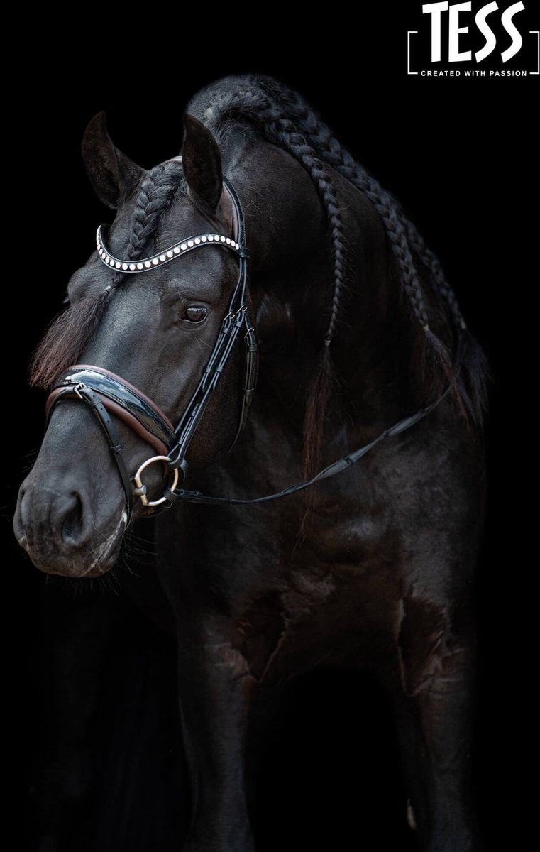 Hoofdstel TESS Standaard trenshoofdstel Slim zwart/Australian nut maat Cob