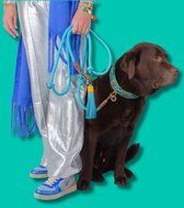 DWAM Dog with a Mission Hondenriem – Riem voor honden – Blauw – Polyester/Leer – L – 155 x 1.4 cm – Blues