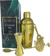 Fjesta Cocktail Set – 4-Delig – Cocktail Shaker Set – Cadeau Voor Man – Cadeau Voor Vrouw – Geschenkdoos - Goud - RVS