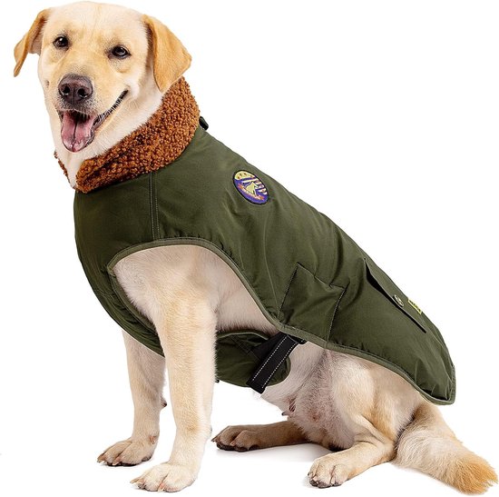 Manteau chien hiver hotsell