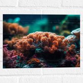 Muursticker - Oceaan - Zee - Koraal - Kleuren - 40x30 cm Foto op Muursticker
