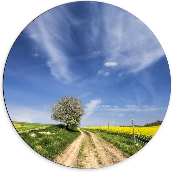 Dibond Muurcirkel - Landschap - Boom - Natuur - Bloemen - Gras - 70x70 cm Foto op Aluminium Muurcirkel (met ophangsysteem)