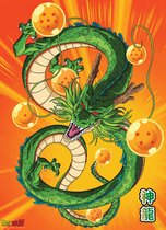 Poster Dragon Ball Shenron 38x52cm