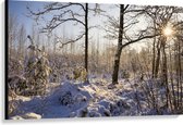 Canvas - Landschap - Winter - Bomen - Planten - Sneeuw - Zon - 120x80 cm Foto op Canvas Schilderij (Wanddecoratie op Canvas)