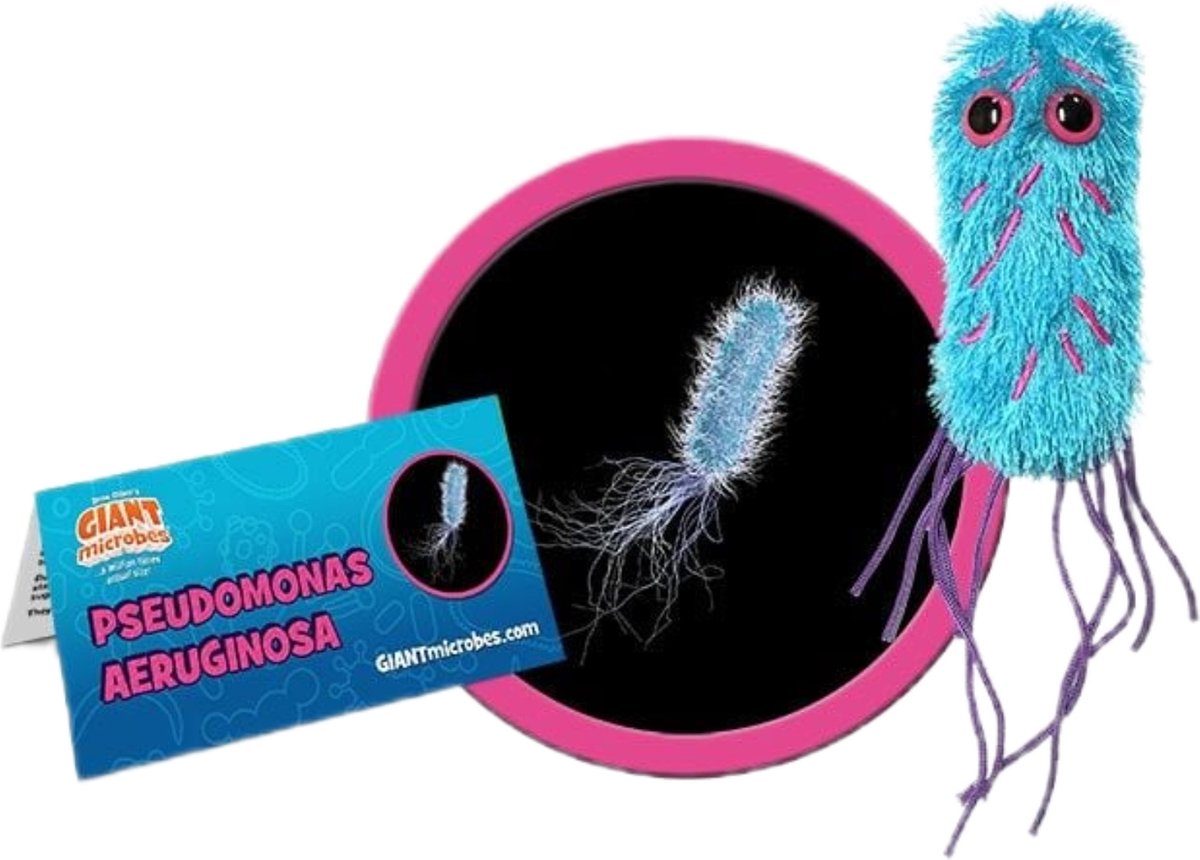 Pseudomonas Aeruginosa
