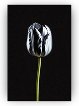 Zilveren tulp poster - Poster zilver - Tulp poster - Poster tulp - Muurdecoratie industrieel - Wanddecoratie zilver - 50 x 75 cm