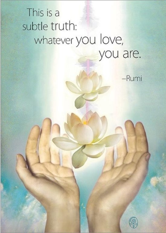 Amber Lotus - Rumi - wenskaart -This is a subtle truth whatever you love, you are