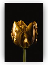 Schilderij gouden tulpen - Goud schilderij - Bloemen schilderij - Tulp op glas - Tulpen - Plexiglas schilderij - 80 x 120 cm 5mm