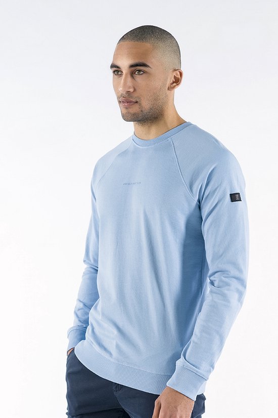 Heren trui lichtblauw new arrivals