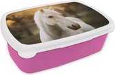 Broodtrommel Roze - Lunchbox Paard - Zon - Herfst - Dieren - Natuur - Brooddoos 18x12x6 cm - Brood lunch box - Broodtrommels voor kinderen en volwassenen