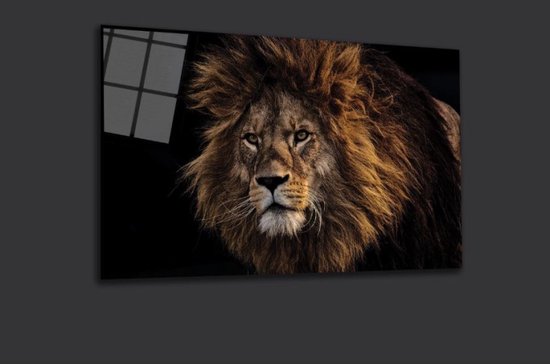 leeuw schilderij op plexiglas 90x60cm