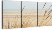 Artaza Canvas Schilderij Drieluik Strand en Zee met Begroeiing - 180x80 - Groot - Foto Op Canvas - Canvas Print