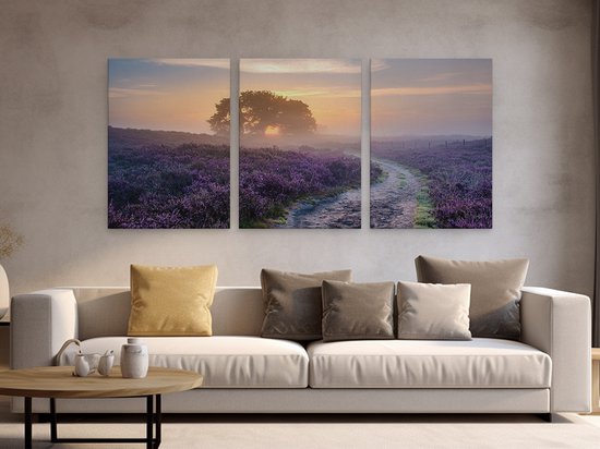 Artaza Tableau Triptyque Chemin dans la Prairie de la Veluwe - 180x80 - Groot - Photo sur Toile - Impression sur Toile