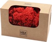 HBX Natural Living Decoratie mos - rood - 50 gram - rendiermos - hobby
