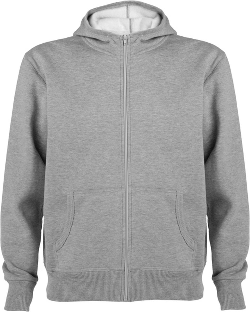 sweatshirt met rits en capuchon model Montblanc merk Roly Grijs