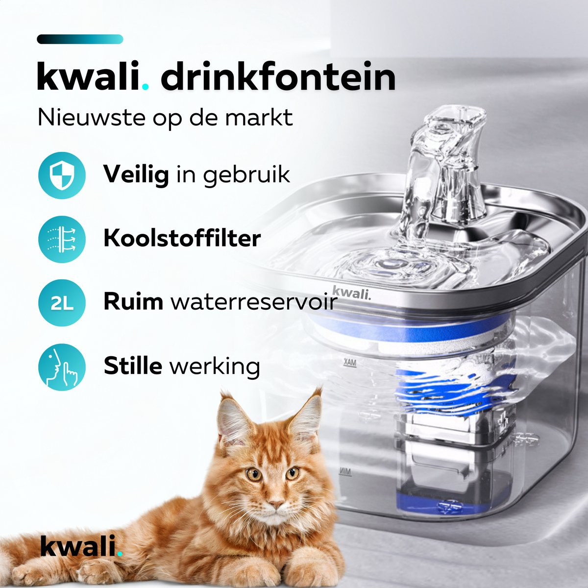 IHOUONE Waterfonteinfilter voor katten: 12 waterfonteinfilters voor katten – 6 koolfilter 6 sponzen – hoogwaardige materialen – geschikt voor hondendispenser van roestvrij staal IHOUONE Waterfonteinfilter voor katten: 12 waterfonteinfilters voor katten – 6 koolfilter 6 sponzen – hoogwaardige materialen – geschikt voor hondendispenser van roestvrij staal