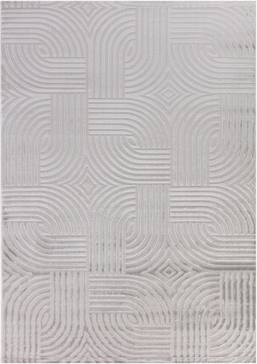 flycarpets Cara Modern Japandi Architectura Vloerkleed - Zilver - 200x290 cm Grijs