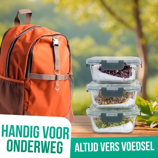 Avalo Boîtes de conservation Glas - Récipients de Prep de repas - Récipients de congélation - Avec couvercle - 5 pièces 1060 ml