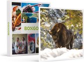 Bongo Bon - TOEGANG TOT HET WILDPARK IN HAN-SUR-LESSE VOOR 1 VOLWASSENE - Cadeaukaart cadeau voor man of vrouw