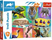 Trefl - Puzzles - "200" - In an exotic world / Discovery Animal Planet