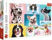 Trefl - Puzzles - "1500" - Cute dogs