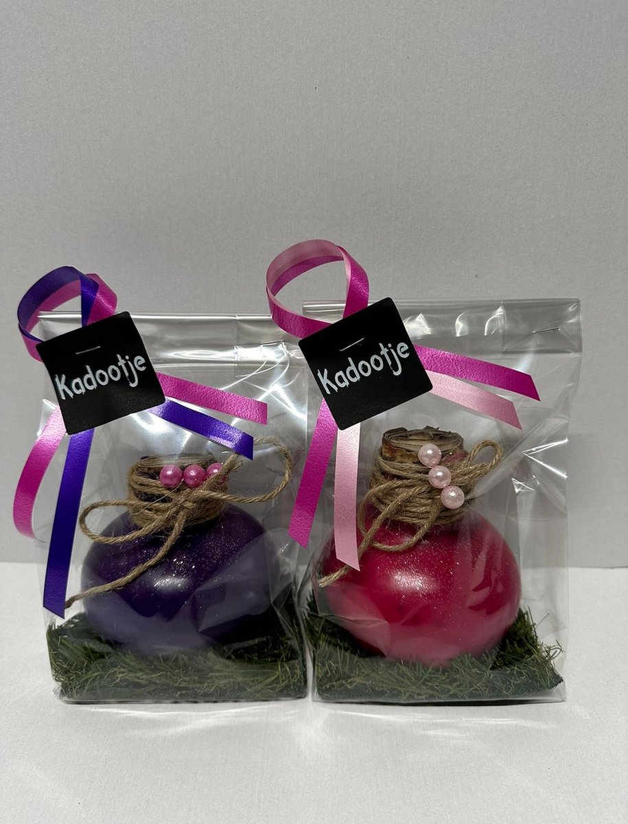 Bulbs4you - Wax amaryllis duo roze/paars in geschenkverpakking - relatiegeschenk