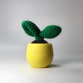Mustard Cactus Leaf