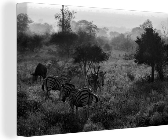 Canvas schilderij 150x100 cm - Wanddecoratie Mistige ochtend in het Krugerpark in Zuid-Afrika - zwart wit - Muurdecoratie woonkamer - Slaapkamer decoratie - Kamer accessoires - Schilderijen