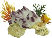 Blue Belle Pacific Coral Banacle Cluster 12 Cm