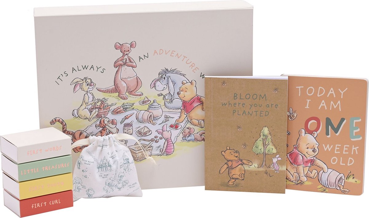 Disney Winnie de Poeh Momenten Bewaardoos met 12 x Milestone Kaarten